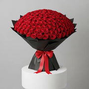 500 Red Roses